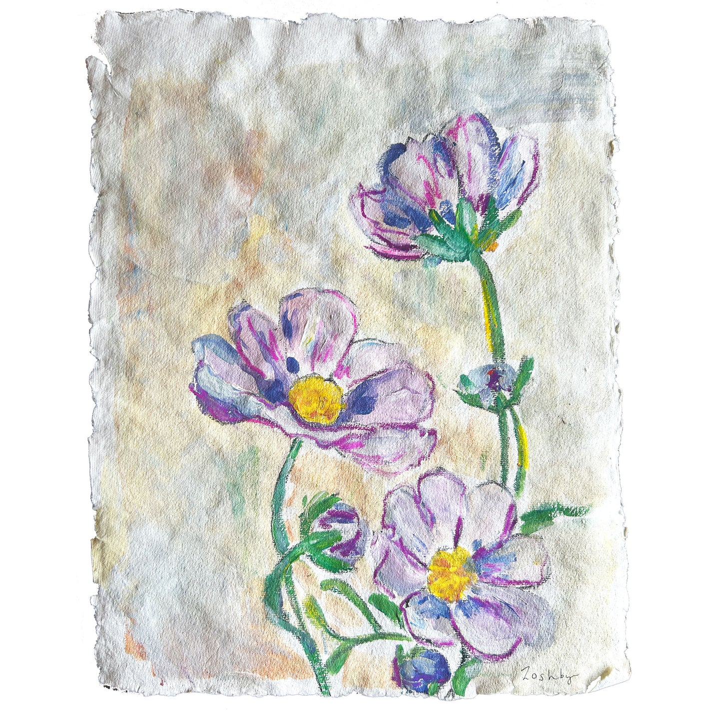 Purple Cosmos Flowers on paper